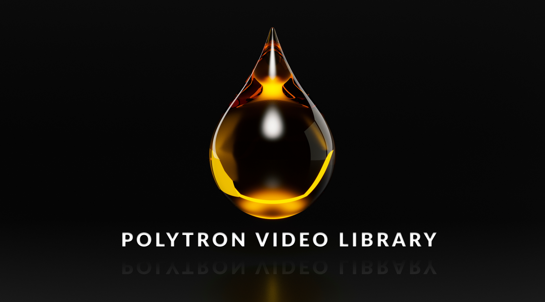 Load video: How Does Polytron Work